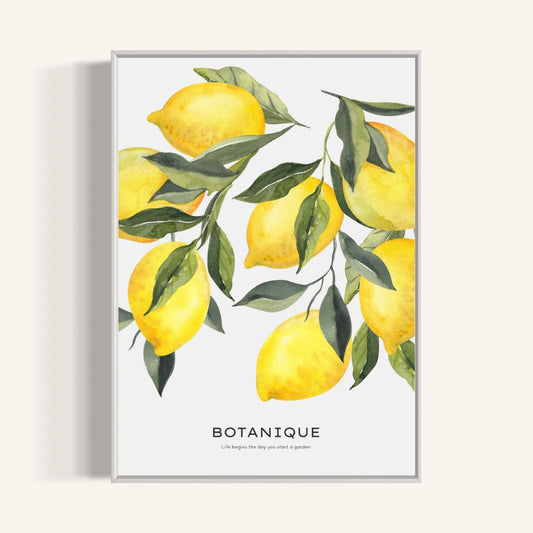 Plakat Lemon Tree - nowoczesny plakat dekoracyjny
