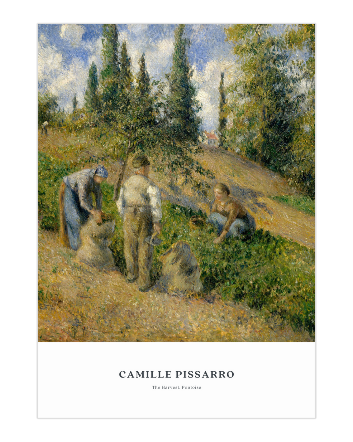 Plakat The Harvest, Pontoise, Camille Pissarro - nowoczesny plakat dekoracyjny