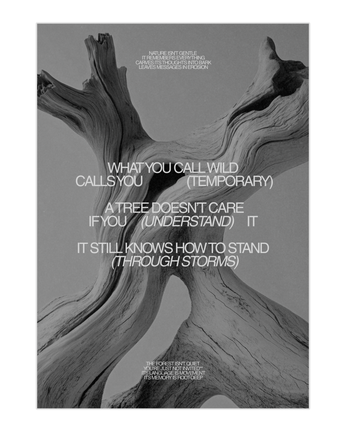 Plakat Wild - nowoczesny plakat dekoracyjny