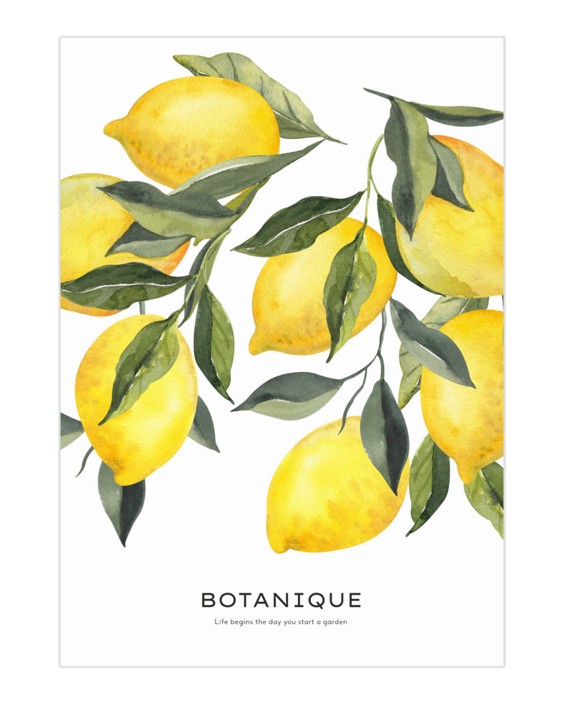 Plakat Lemon Tree - nowoczesny plakat dekoracyjny
