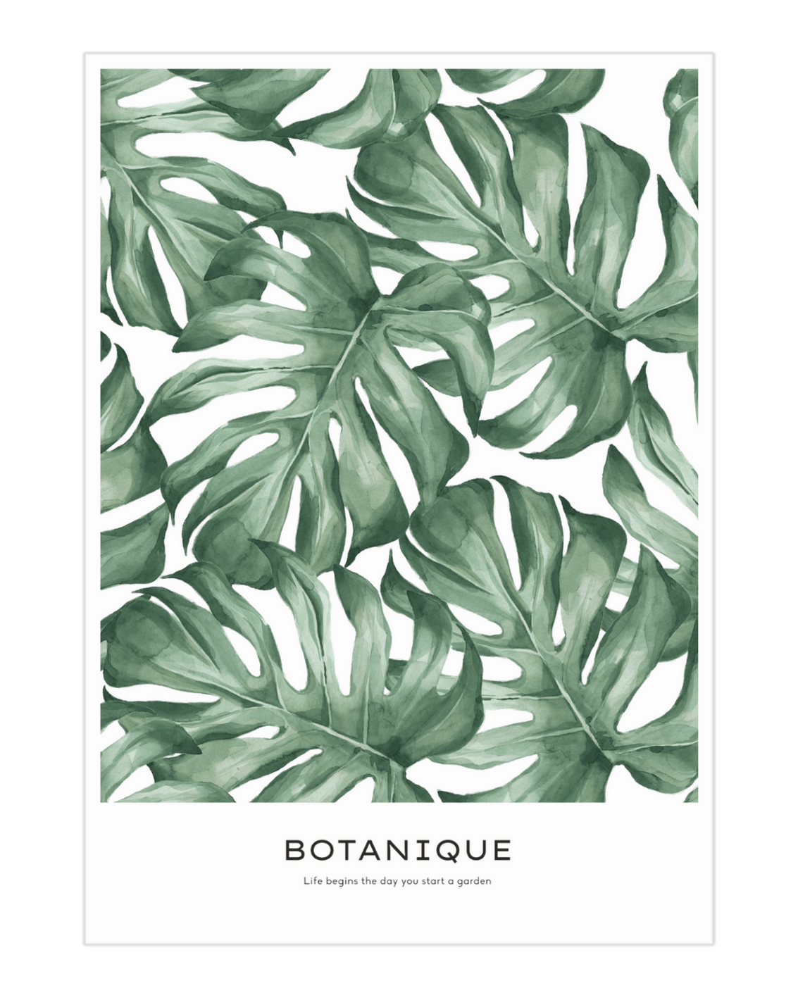 Plakat Monstera - nowoczesny plakat dekoracyjny