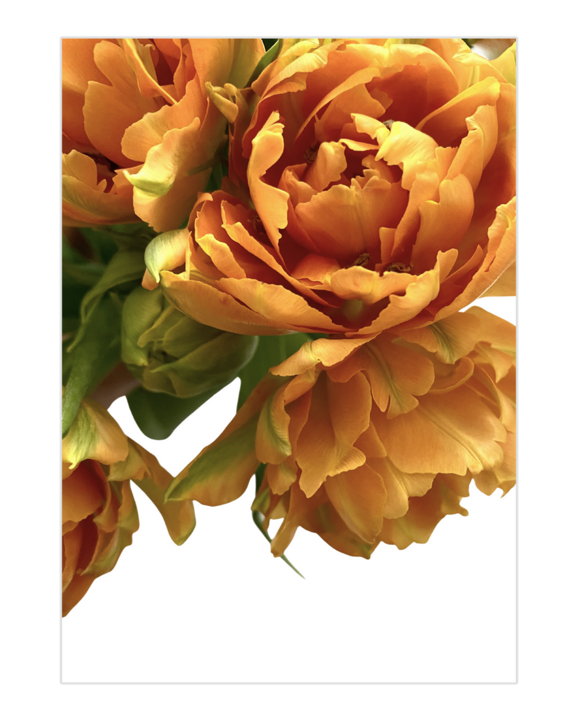 Plakat Florange - nowoczesny plakat dekoracyjny