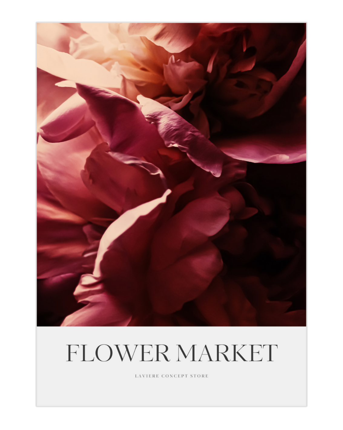 Plakat Viva Magenta Flower - nowoczesny plakat dekoracyjny