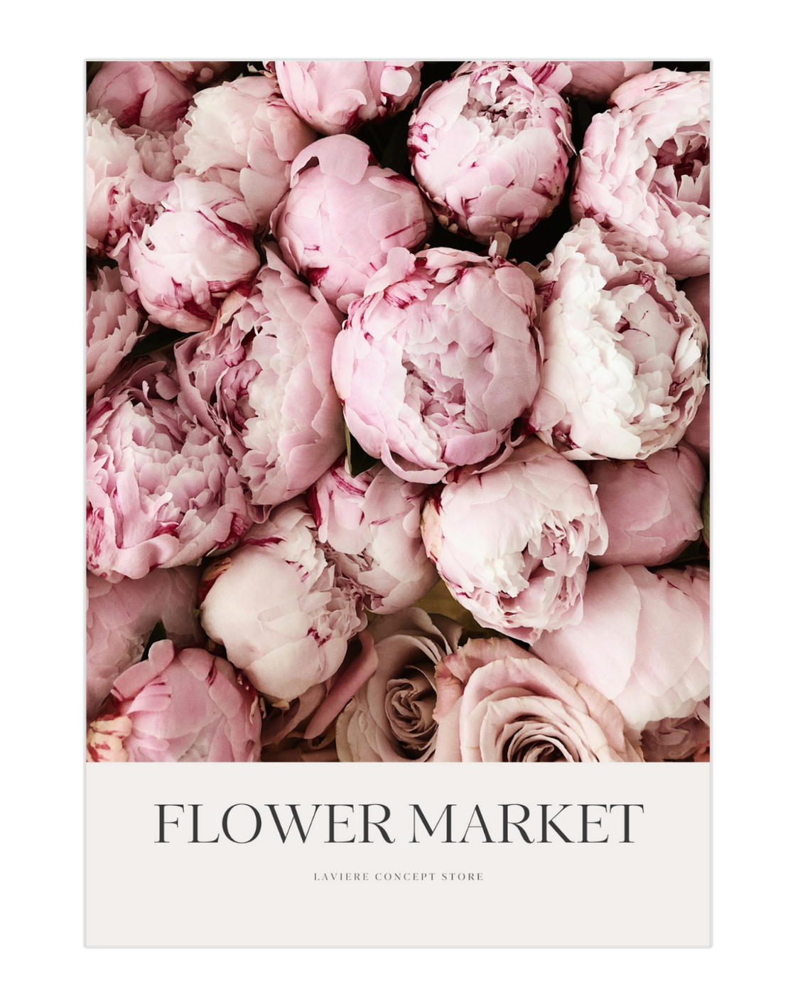 Plakat Flower - 01 - nowoczesny plakat dekoracyjny