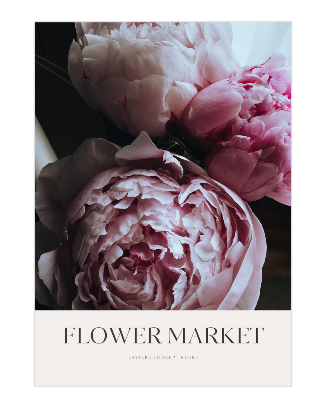 Plakat Peonies - nowoczesny plakat dekoracyjny