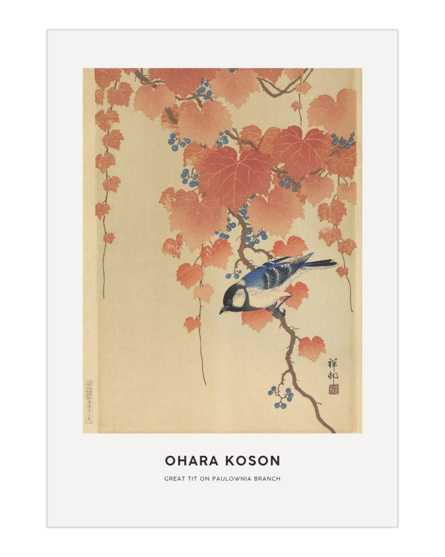 Plakat Great Tit on Paulownia Branch - Ohara Koson - nowoczesny plakat dekoracyjny