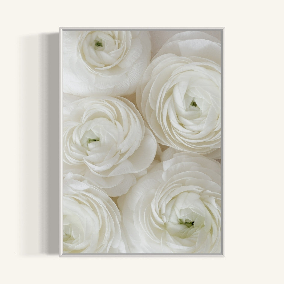 Plakat White Roses - nowoczesny plakat dekoracyjny