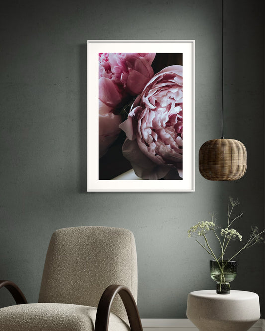 Plakat Peonies - 02 - nowoczesny plakat dekoracyjny