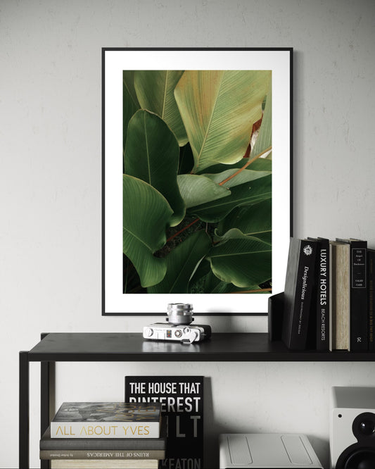 Plakat Big Leaves - nowoczesny plakat dekoracyjny