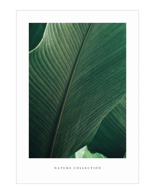 Plakat Leaves - nowoczesny plakat dekoracyjny
