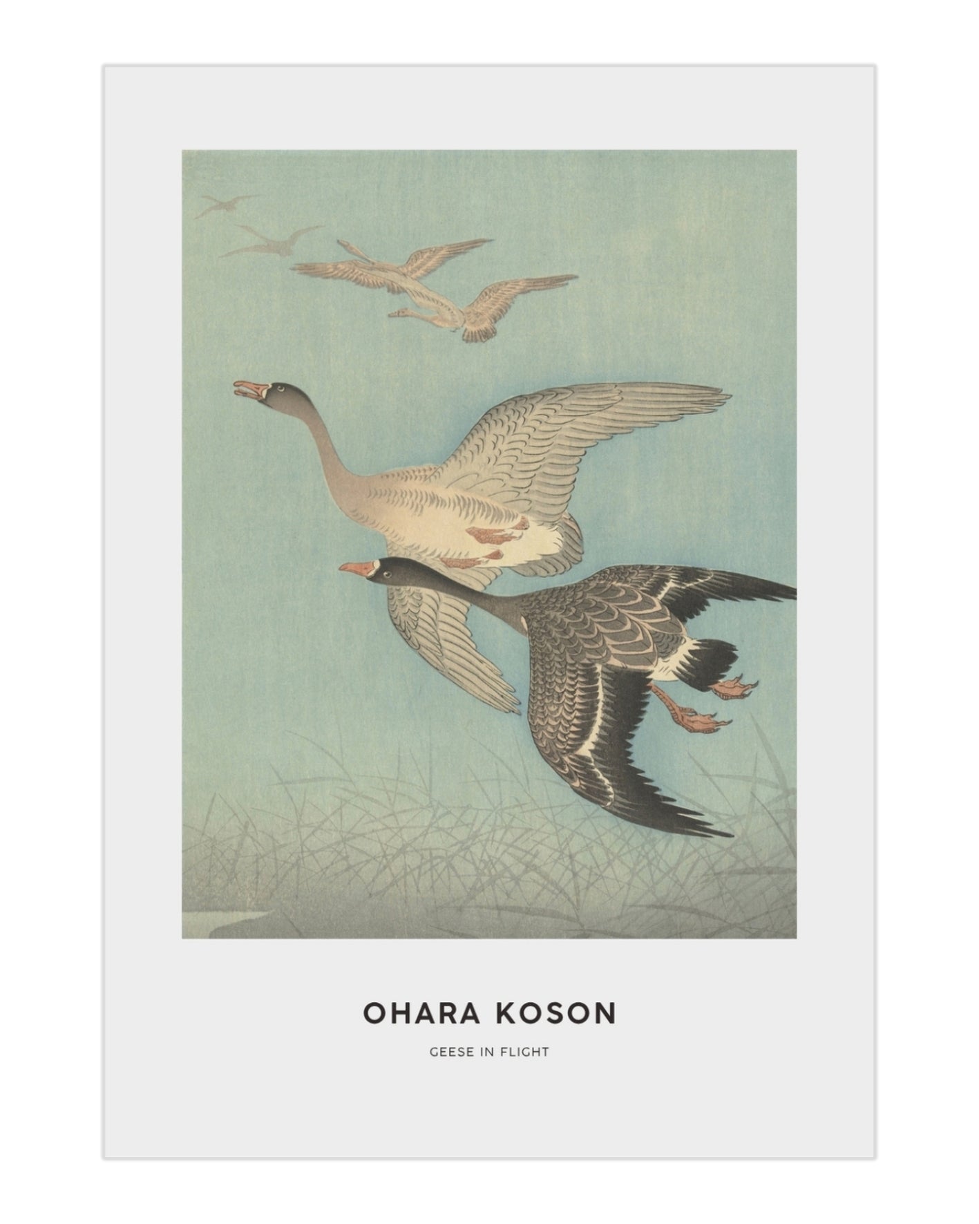 Plakat Geese in Flight - Ohara Koson - nowoczesny plakat dekoracyjny