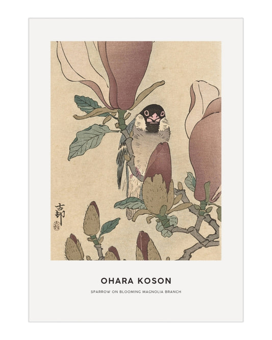 Plakat Sparrow on Blooming Magnolia Branch - Ohara Koson - nowoczesny plakat dekoracyjny