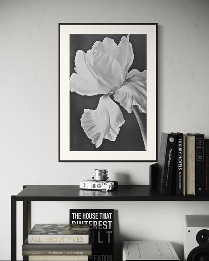 Plakat Bloom - 02 - nowoczesny plakat dekoracyjny
